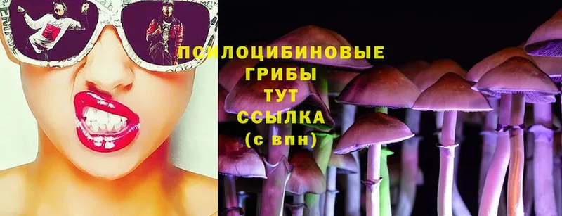 Галлюциногенные грибы Cubensis  МЕГА ССЫЛКА  это наркотические препараты  как найти   Рыльск 