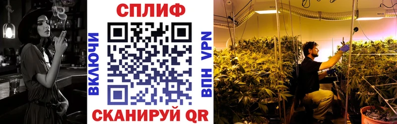 Каннабис Bruce Banner  хочу   Рыльск 